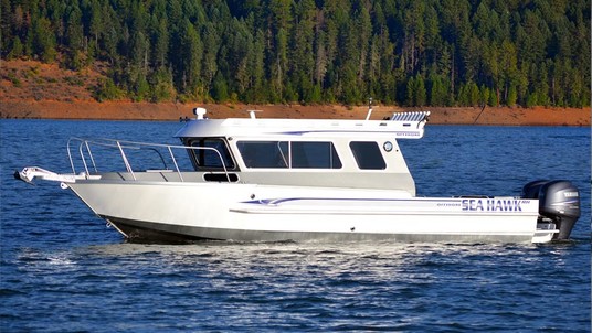 River Hawk Offshore 25