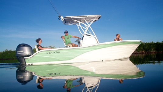 Sea Fox 206 Commander