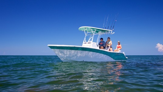Sea Fox 226 Commander