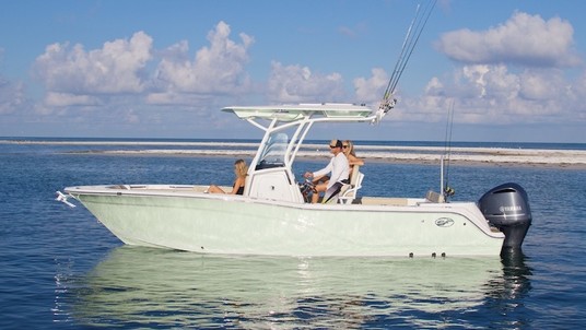 Sea Fox 248 Commander