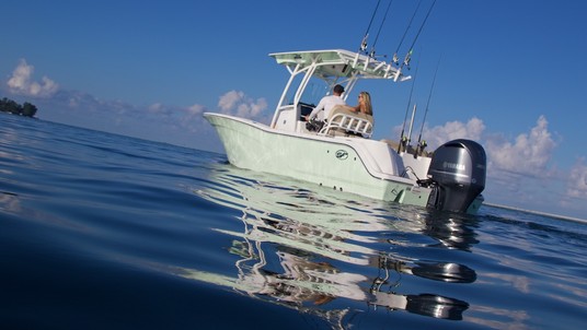 Sea Fox 248 Commander