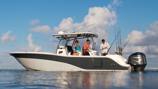 Sea Fox 328 Commander