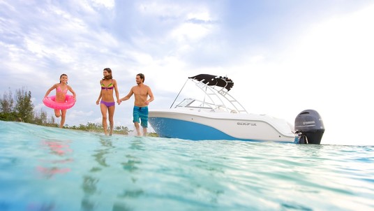 Sea Fox 226 Traveler