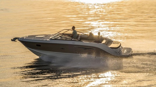 Sea Ray Sun Sport 250