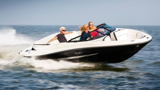 Sea Ray Sport 190