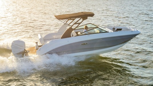 Sea Ray SDX 250 OB
