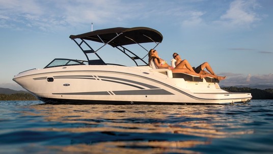 Sea Ray SDX 290
