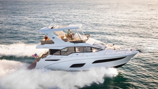 Sea Ray Fly 460