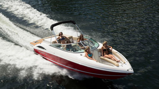 Starcraft Marine Runabout Limited 2321 RE I/O