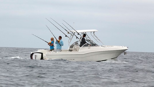 Striper 230 DC