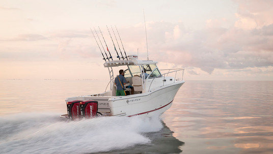 Striper 270 WA