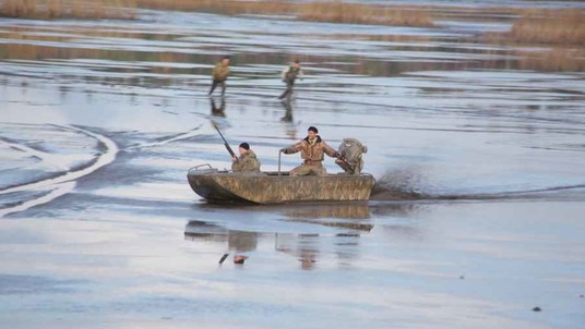 520К Trident Alugator