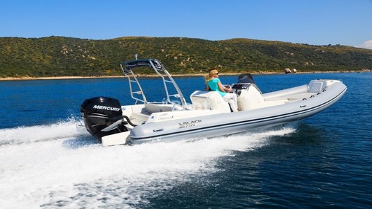 Black Fin Elegance 8