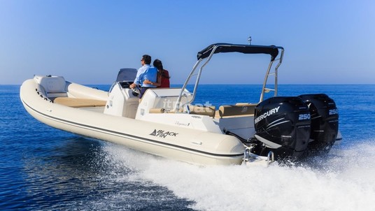 Black Fin Elegance 9