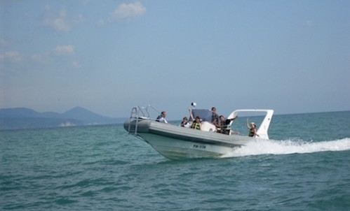 Astron Marin Marlene 830 SS