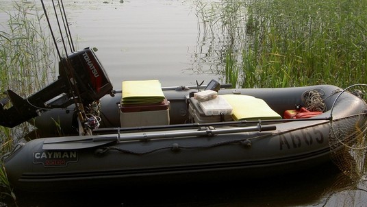 Mnev and K Kayman N-300