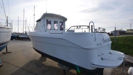 Arvor 25