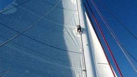 Multiplast maxicat 110