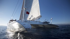 Multiplast maxicat 110