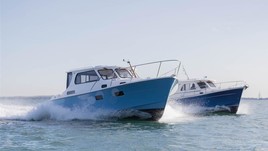 Jersey 30 elanco