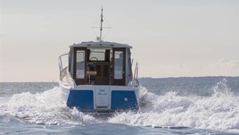 Jersey 30 elanco