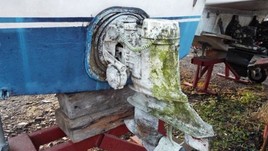 Dolphin cabin cruiser