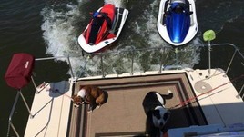 Holiday mansion 36 super-barracuda