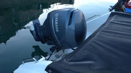 Warrior 175 export