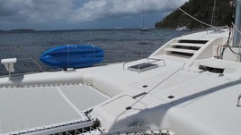 Robertson&caine leopard 45