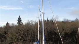 Rogers contessa 26