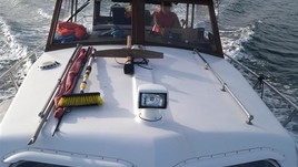 Classic freeman 30 motor cruiser