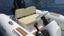 Suzuki st290 + 20hptender deutschland