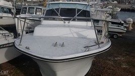 Topaz 29 sportfish