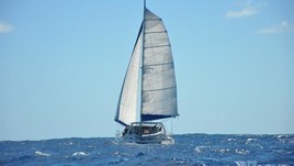 Robertson leopard 42