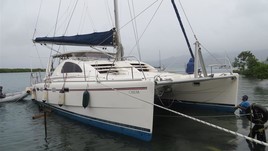 Robertson leopard 42