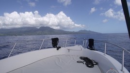 Kelt White Shark 226