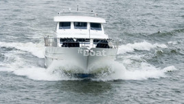 Van Der Heijden Dynamic