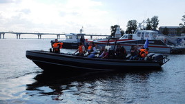 Webmaster RM-860 eagle