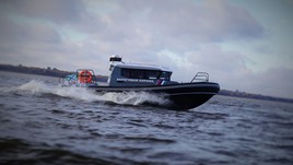 Webmaster RM-860 eagle