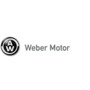 Weber motors