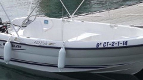 Quicksilver 410 Fish