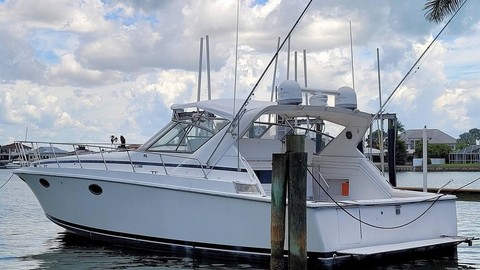 Trojan 10 meter international