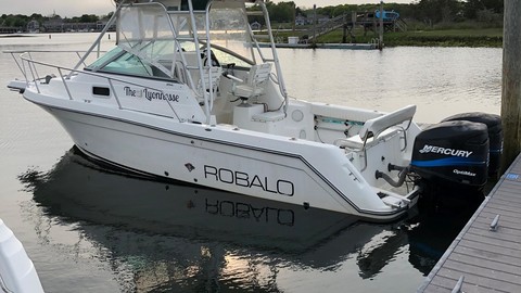 Robalo 2640 walkaround