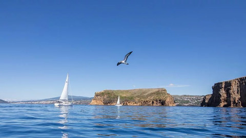 Bavaria 37 Cruiser