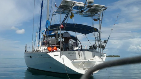 Alliaura Marine Feeling 446