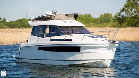 Delphia Platinium 989 Fly