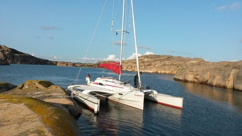 Dragonfly Dragonfly 28