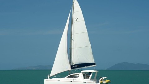 Leopard 40