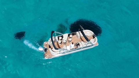 South bay south bay 25