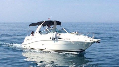 Sea Ray 315 Sundancer